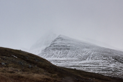 Brown Grass. Ólafsfjördur